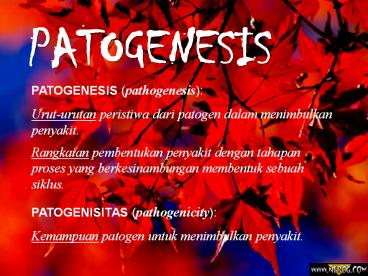 PATOGENESIS