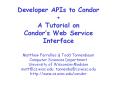 Developer APIs to Condor   A Tutorial on Condor PowerPoint PPT Presentation