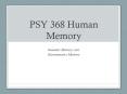 PSY 368 Human Memory PowerPoint PPT Presentation
