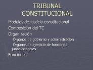 TRIBUNAL CONSTITUCIONAL