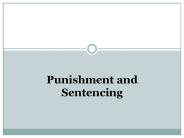 Punishment and Sentencing