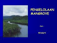 PENGELOLAAN MANGROVE