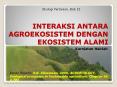 INTERAKSI ANTARA AGROEKOSISTEM DENGAN EKOSISTEM ALAMI PowerPoint PPT Presentation