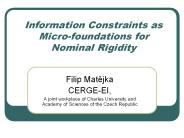 Information Constraints as Micro-foundations for Nominal Rigidity