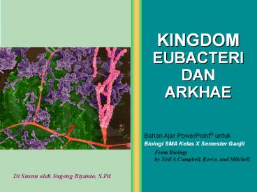 KINGDOM EUBACTERI DAN ARKHAE