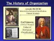 The History of Organization