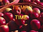TIEMPO