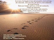 Cuaresma 5 domingo -B-