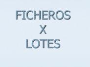 FICHEROS X LOTES