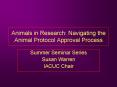 Animals in Research: Navigating the Animal Protocol Approval Process PowerPoint PPT Presentation