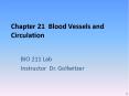 Chapter 21 Blood Vessels and Circulation PowerPoint PPT Presentation
