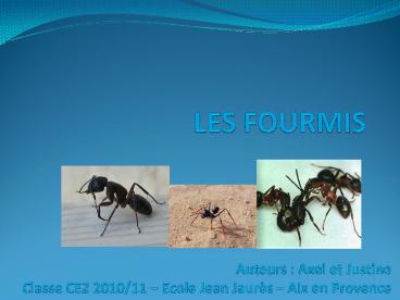 LES FOURMIS
