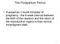 The Postpartum Period PowerPoint PPT Presentation