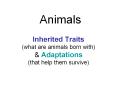 Inherited Traits (what are animals born with) PowerPoint PPT Presentation