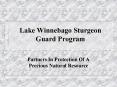 Lake Winnebago Sturgeon Guard Program PowerPoint PPT Presentation