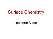 Isotherm Model
