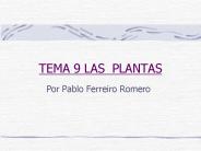 TEMA 9 LAS PLANTAS