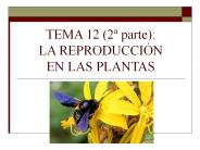TEMA 13:  LA REPRODUCCI