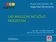Diapositiva 1