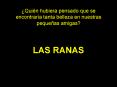 Las Ranas PowerPoint PPT Presentation