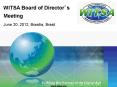 WITSA Board of Director PowerPoint PPT Presentation