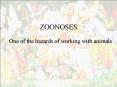 ZOONOSES PowerPoint PPT Presentation