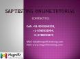 sap testing online tutorial PowerPoint PPT Presentation