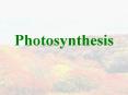 Photosynthesis PowerPoint PPT Presentation