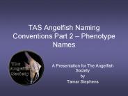 TAS Angelfish Naming Conventions Part 2 