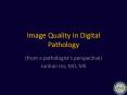Image Quality in Digital Pathology PowerPoint PPT Presentation