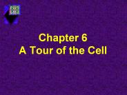Chapter 6       A Tour of the Cell