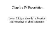 Aucun titre de diapositive