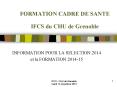 FORMATION CADRE DE SANTE IFCS du CHU de Grenoble PowerPoint PPT Presentation
