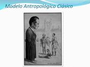 Modelo Antropol