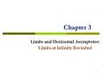 Limits and Horizontal Asymptotes: PowerPoint PPT Presentation