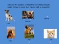 Click on the speaker to hear the sound the animals make. Listen to see if they have a high or low pitch. PowerPoint PPT Presentation