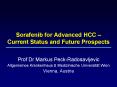 Prof Dr Markus Peck-Radosavljevic PowerPoint PPT Presentation