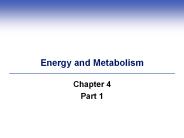 Energy and Metabolism