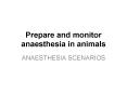 Prepare and monitor anaesthesia in animals PowerPoint PPT Presentation