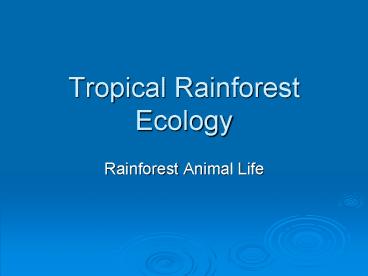 Tropical Rainforest Ecology