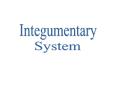Integumentary PowerPoint PPT Presentation