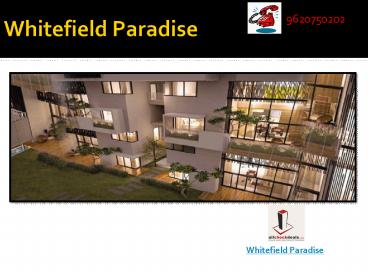 Whitefield Paradise