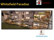 Whitefield Paradise