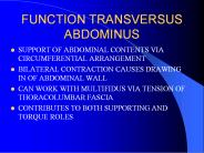 FUNCTION TRANSVERSUS ABDOMINUS