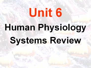 Human Physiology