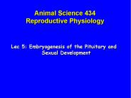 Animal Science 434 Reproductive Physiology