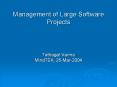 Management of Large Software Projects PowerPoint PPT Presentation