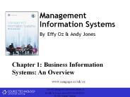 Management Information Systems By Effy Oz