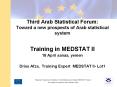 Third Arab Statistical Forum: Toward a new prospects of Arab statistical system Training in MEDSTAT II 18 April sanaa, yemen Driss Afza, Training Expert MEDSTAT II- Lot1 PowerPoint PPT Presentation