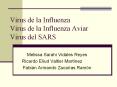 Virus de la Influenza Virus de la Influenza Aviar Virus del SARS PowerPoint PPT Presentation